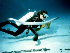 Sylvia Earle e la tutela della biodiversità marina