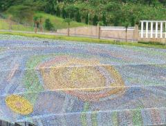A Taiwan un mosaico da Guinness fatto con 4 milioni di bottiglie di plastica_alt tag