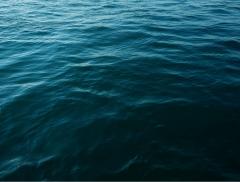 I benefici dell’acqua di mare raccontati da Michele Doz