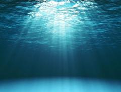 Le acque degli oceani sono sempre più calde: raggiunte temperature “record” - In a Bottle