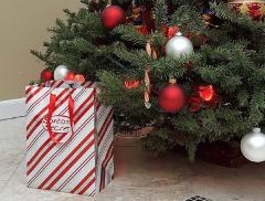 Come annaffiare l’albero di Natale, il sistema “travestito” da regalo
