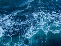 Dipingere l’Acqua: Mostra Pittorica a Tema Acqua a Milano – In a Bottle