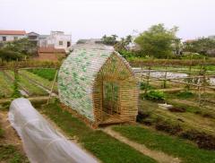 Vegetable Nursery Home