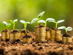 Aumenta il consumo di suolo in Europa 