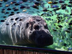 I bioparchi italiani più belli da visitare - In a bottle