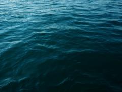Il colore degli oceani modificato dai cambiamenti climatici – In a Bottle