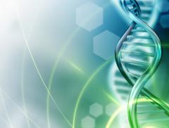 Come si comporta l'acqua intorno al DNA 