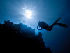 Creato un “polmone artificiale” per respirare a lungo sott’acqua - In a Bottle