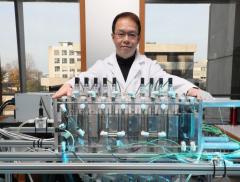 Desalinizzazione: Come Dissalare l'Acqua Marina – In a Bottle