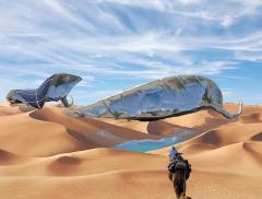 Energia solare per raccogliere acqua nel deserto 