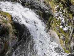 Fonti d'acqua: cosa fare per proteggerle 