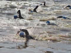 Diventare campioni di Triathlon con una corretta idratazione alt_tag