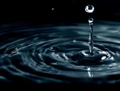 Scopri tutti i detti che hanno per protagonista l'acqua