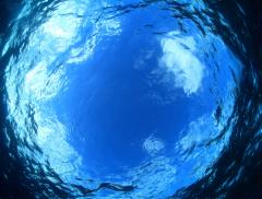 Sarà possibile abitare i pianeti ricoperti d’acqua? - In a Bottle 