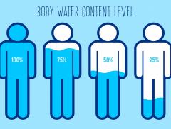 Il corpo umano potrebbe essere fatto d'acqua per il 99% 