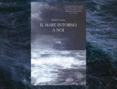 “Il mare intorno a noi”, la biografia del mare della scrittrice ambientalista Rachel Carson - In a Bottle