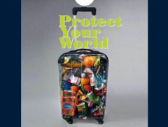 Viaggi "ecofriendly", nuove valigie fatta con bottiglie di plastica