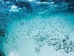 Il Costo per Desalinizzare l’Acqua del Mar Rosso – In a Bottle