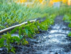 L’acqua in agricoltura: elemento fondamentale da salvaguardare