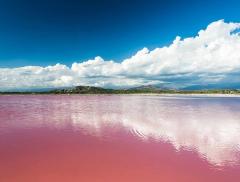 Lago di Colore Rosa: il Lago Retba si Trova in Africa – In a Bottle