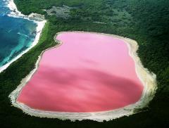 Lake Hillere, il fiabesco lago rosa australiano alt_tag