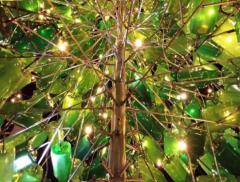 L'albero di Natale fatto di bottiglie di plastica riciclata 
