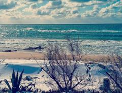 La fascinazione potente del mare d’inverno