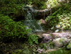 La Fonte della Biodiversità di Acqua Panna