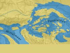 Paratetide, il megalago che conteneva 10 volte tutti i laghi terrestri