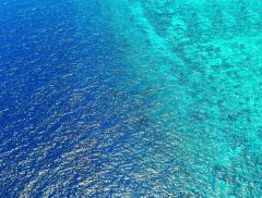 Perché gli oceani sono sempre più acidi?