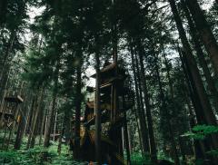 Arriva la Wild Generation, il ritorno alla natura diventa un trend globale