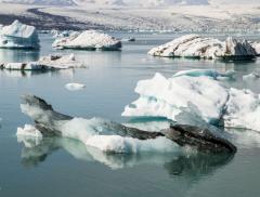 Scioglimento dei ghiacci, in Antartide registrate temperature record - In a Bottle