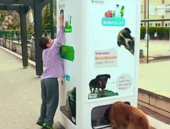 Smart Recycling Boxes for Cats and Dogs | In a Bottle