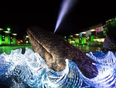 Un oceano di plastica per sensibilizzare sulla cura del mare 