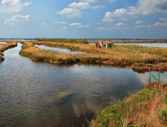 Il trattato di Ramsar e la tutela della biodiversità