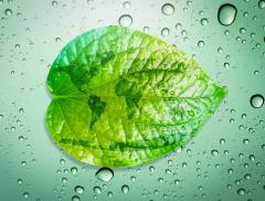 VirtualWaterValues: il progetto contro lo spreco d'acqua 