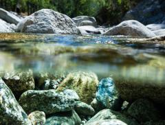 Un Nuovo Guardiano dell’Acqua: Nestlè Waters– In a Bottle