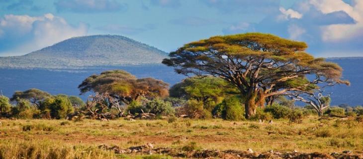 Kenya: scoperte fonti sotterranee, 66 miliardi di litri di acqua
