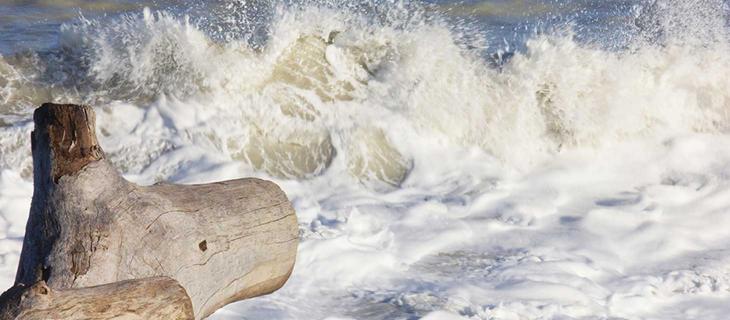 Leopardi e il mare, un amore in versi – In a Bottle Leopardi e il mare, un amore in versi – In a Bottle