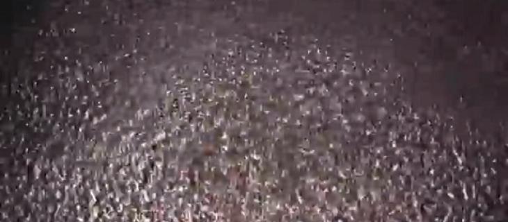 Se l'acqua diventa uno strumento musicale