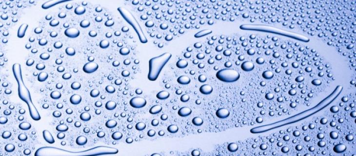 Anche l'acqua sa emozionarsi  