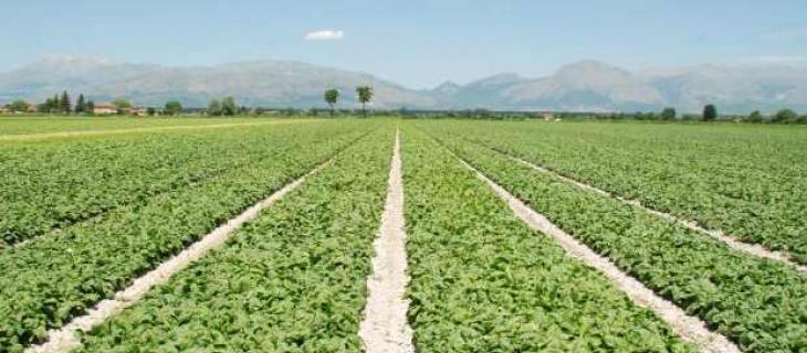 La FAO lancia l'allarme, tutelare la risorsa acqua per salvaguardare il pianeta