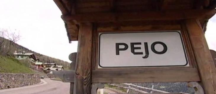Pejo, quando il legno si trasforma in energia pulita