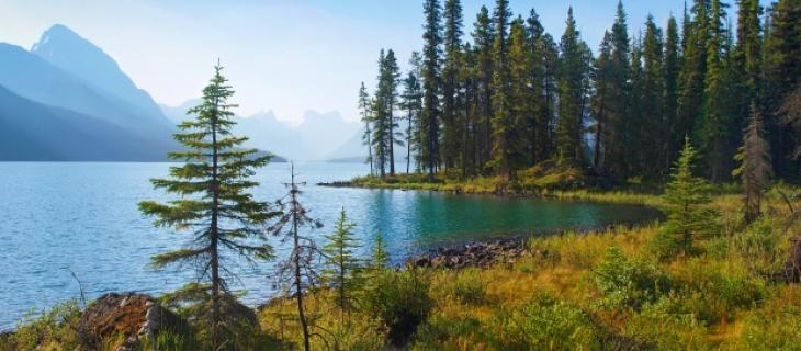 In Canada la tutela della natura è una "questione di Stato" 