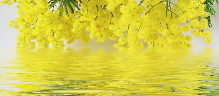 8 marzo, ecco perché l'acqua è donna | In a Bottle