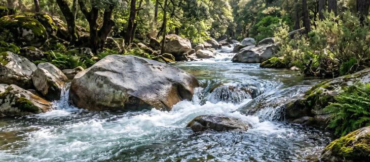 L’acqua, simbolo del cambiamento. Perché continuiamo a pensare in modo liquido