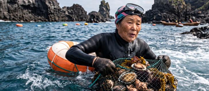 Le donne pescatrici di Jeju storia e tradizioni delle Haenyeo