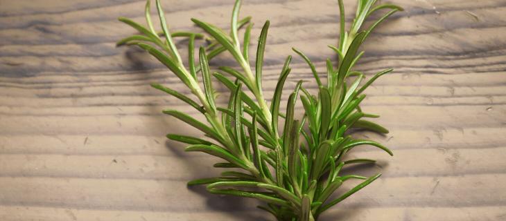 I benefici dell'infuso al rosmarino
