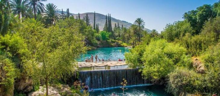 Il benessere dell’acqua al sole di Israele