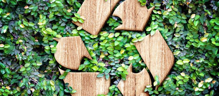 Giornata Mondiale dell’ambiente: come celebrare il Pianeta?